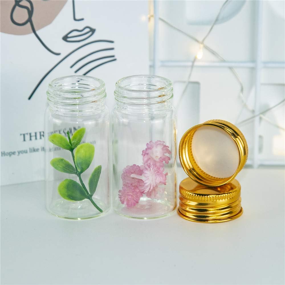 50PCS 5ML-100ML Mini Glass Tes - Art Craft Youtube recensie en prijs